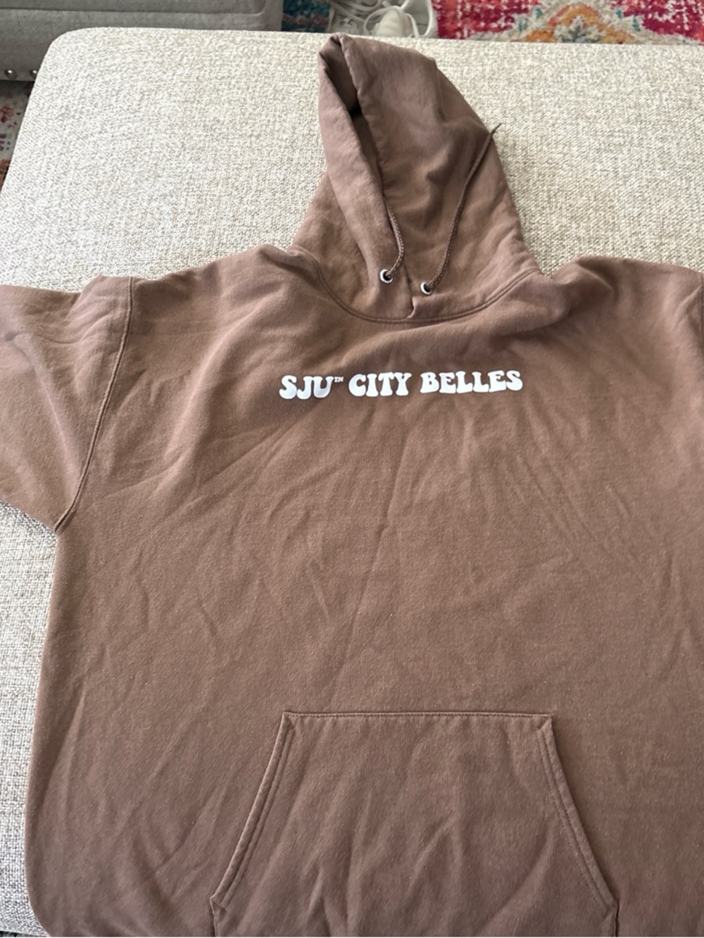 Hanes EcoSmart Brown Hoodie
